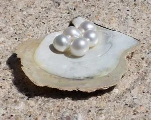 south sea pearls